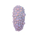 N&amp;Y Crystal nr2.jpg
